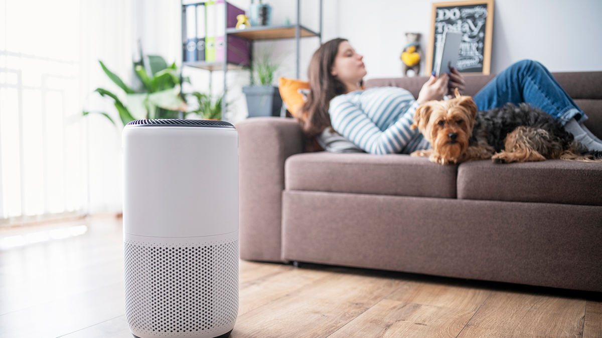 Air purifier for sleep deals